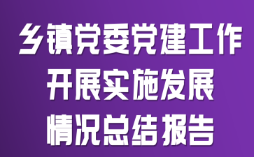 乡镇党委党建工作开展实施发展情况总结报告