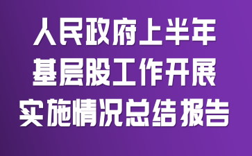 人民政府上半年基层股工作开展实施情况总结报告