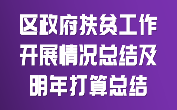 区政府扶贫工作开展情况总结及明年打算总结
