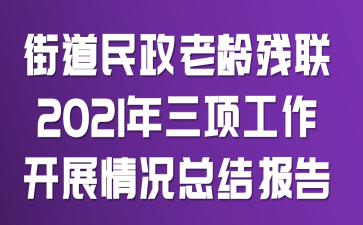 街道民政、老龄、残联2021年三项工作开展情况总结报告