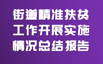 街道精准扶贫工作开展实施情况总结报告