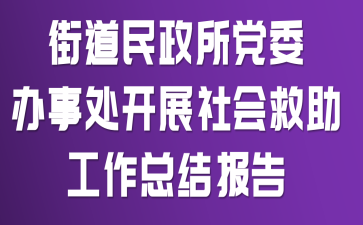 街道民政所党委办事处开展社会救助工作总结报告
