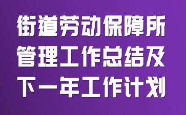 街道劳动保障所管理工作总结及下一年工作计划