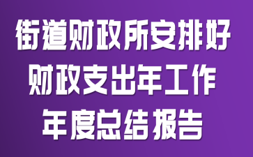 街道财政所安排好财政支出年工作年度总结报告