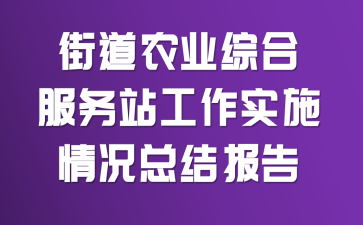 街道农业综合服务站工作实施情况总结报告