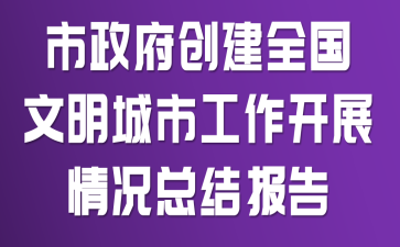 市政府创建全国文明城市工作开展情况总结报告