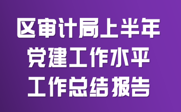 ����ƾ��ϰ��굳������ˮƽ�����ܽᱨ��