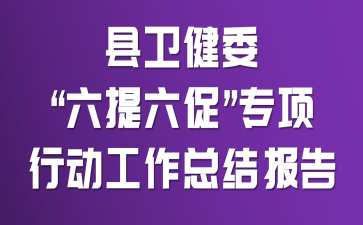 县卫健委“六提六促”专项行动工作总结报告