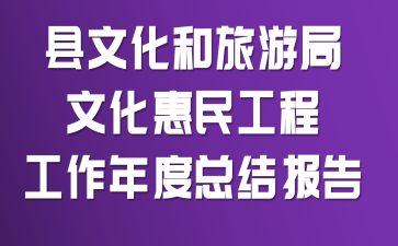 县文化和旅游局文化惠民工程工作年度总结报告