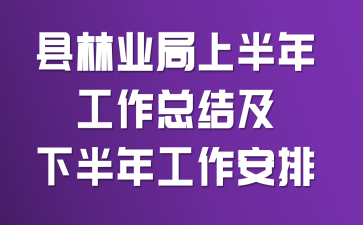 县林业局上半年工作总结及下半年工作安排