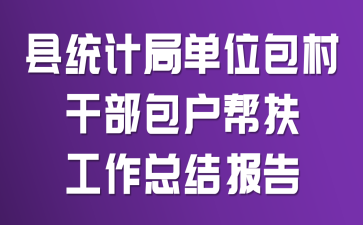 县统计局“单位包村、干部包户”帮扶工作总结报告