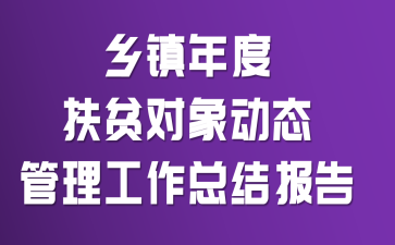 乡镇年度扶贫对象动态管理工作总结报告