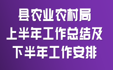 县农业农村局上半年工作总结及下半年工作安排