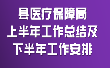 县医疗保障局上半年工作总结及下半年工作安排