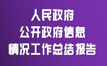 人民政府公开政府信息情况工作总结报告