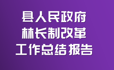 �����������ֳ��Ƹĸ﹤���ܽᱨ��