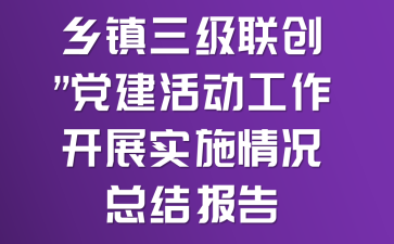 乡镇三级联创”党建活动工作开展实施情况总结报告