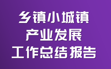 乡镇小城镇产业发展工作总结报告