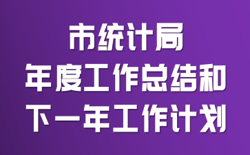 市统计局年度工作总结和下一年工作计划
