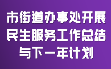 市街道办事处开展民生服务工作总结与下一年计划