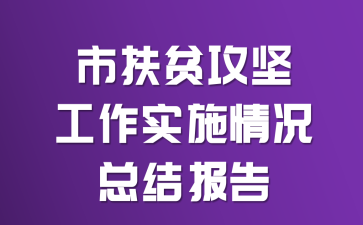 市扶贫攻坚工作实施情况总结报告