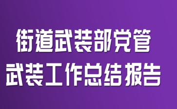 街道武装部党管武装工作总结报告