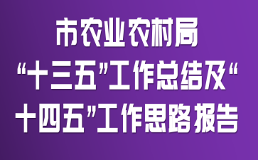 市农业农村局“十三五”工作总结及“十四五”工作思路报告