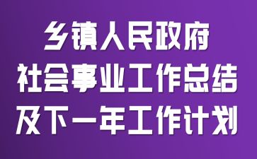 乡镇人民政府社会事业工作总结及下一年工作计划