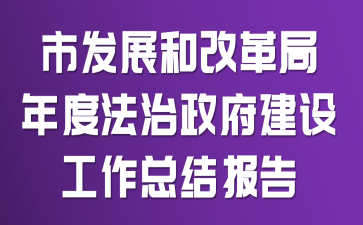 市发展和改革局年度法治政府建设工作总结报告