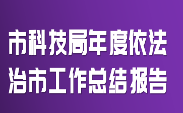 �пƼ�������������й����ܽᱨ��