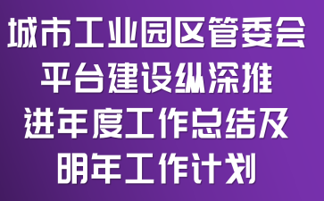 城市工业园区管委会平台建设纵深推进年度工作总结及明年工作计划