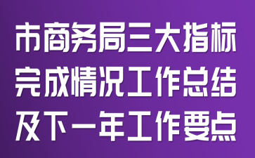 市商务局三大指标完成情况工作总结及下一年工作要点