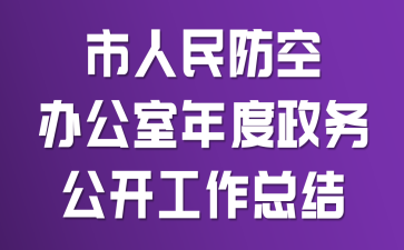 市人民防空办公室年度政务公开工作总结