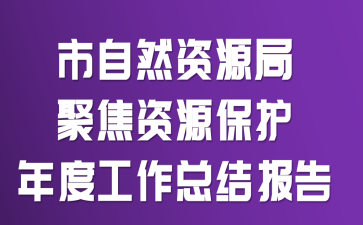 市自然资源局聚焦资源保护年度工作总结报告