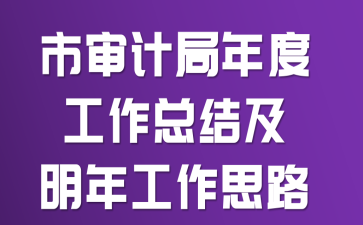 市审计局年度工作总结及明年工作思路