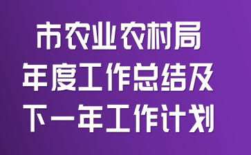 市农业农村局年度工作总结及下一年工作计划