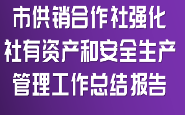 市供销合作社强化社有资产和安全生产管理工作总结报告