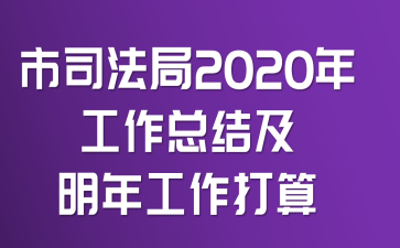 市司法局2020年工作总结及明年工作打算