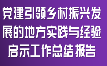 党建引领乡村振兴发展的地方实践与经验启示工作总结报告