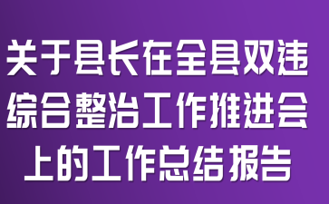 关于县长在全县“双违”综合整治工作推进会上的工作总结报告