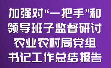 加强对“一把手”和领导班子监督研讨农业农村局党组书记工作总结报告