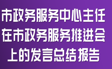 市政务服务中心主任在市政务服务推进会上的发言总结报告
