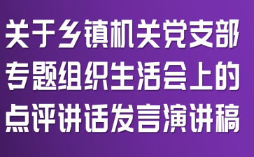 关于乡镇机关党支部专题组织生活会上的点评讲话发言演讲稿