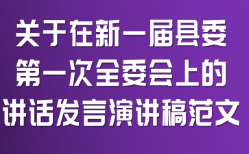 关于在新一届县委第一次全委会上的讲话发言演讲稿范文