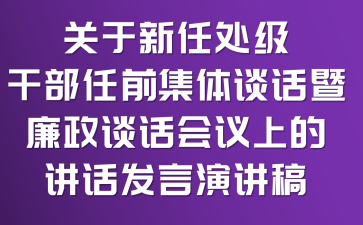 关于新任处级干部任前集体谈话暨廉政谈话会议上的讲话发言演讲稿