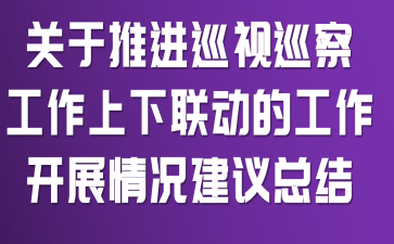 关于推进巡视巡察工作上下联动的工作开展情况建议总结