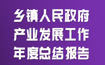 乡镇人民政府产业发展工作年度总结报告