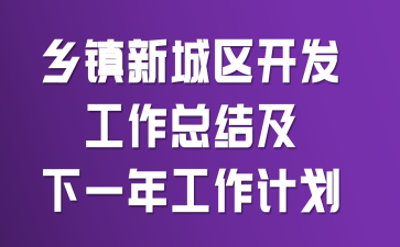 乡镇新城区开发工作总结及下一年工作计划