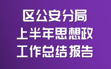 区公安分局上半年思想政工作总结报告
