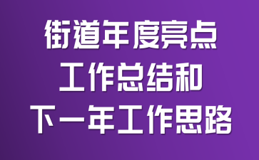 街道年度亮点工作总结和下一年工作思路